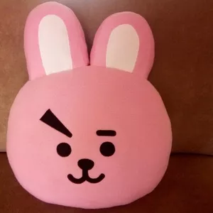 Подушка BTS ВТ21 (Cooky)