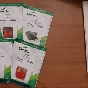 Семена овощных культур компании Seminis