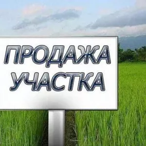 Промзона Киев || Продам свой Участок 1.5 га || с.Шпитьки 17 км 