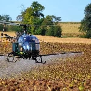 Услуги по десикации растений вертолетами дельталетами кукурузниками Ан-2