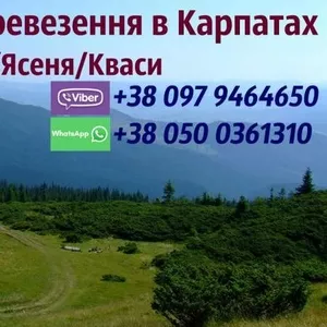 Трансфер в Карпати/таксі Карпати/автобус Буковель/Ворохта/Кваси