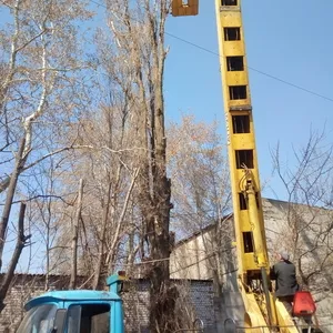 Спилим,  распилим на дрова в Днепре