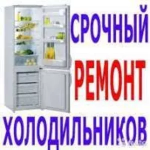 Ремонт Холодильника. Замена резины