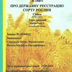 Посадимо сад волоського горіха