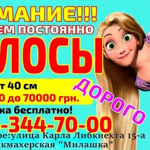 Куплю Продать волосы в Днепре дорого 