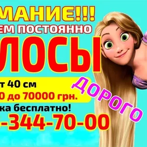 Где продать волосы дорого Николаев