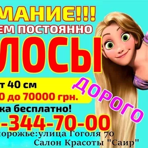 Куплю Продать волосы в Запорожье дорого Сдать волосы в Запорожье