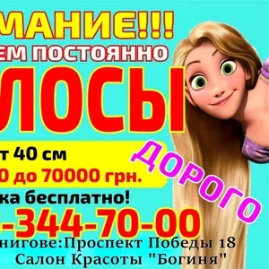 Куплю Продать волосы Чернигов Дорого Салон Красоты Чернигов 