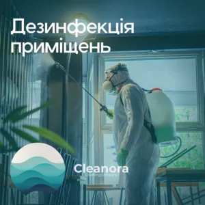 Клінінгова компанія Cleanora 