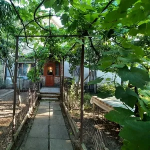 Дом на  проспекте Добровольского