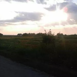 Срочно продам земельный участок в с. Вороньков