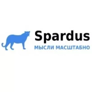 Spardus - Web-аналитика и SEO консалтинг