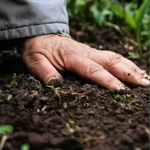 Агрисолика - кремниевое удобрение для сада и огорода в гранулах
