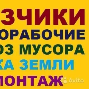 Разнорабочие грузчики подсобники землекопы  Одеса