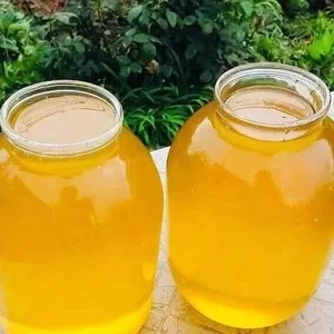 Продам свежий мёд со своей пасеки,  урожай 2023 года. Разнотравье