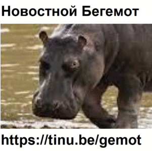 Новостной Бегемот: https://tinu.be/gemot