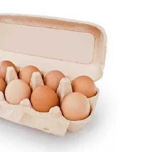 Продажа столовых яиц оптом и в розницу Днепр.