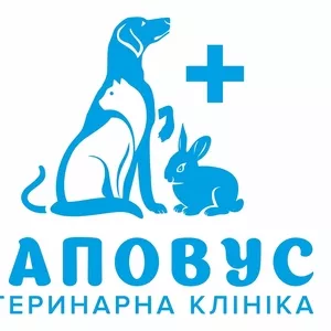 Ветеринарная клиника 