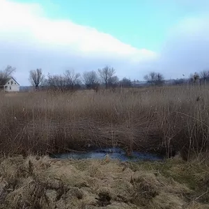 Самые лучшие участки в селе Холодное Золотоношский район