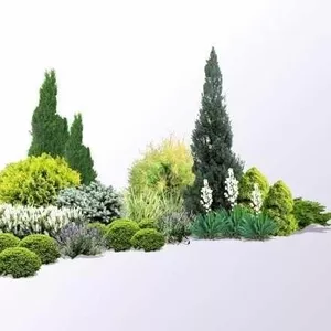 Ландшафтний дизайн,  догляд за садом