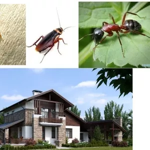 Обробка відкритих територій від кліщів,  комарів,  мурах та ін.