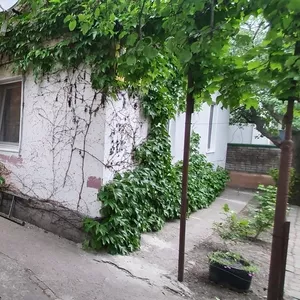  Продам дом  57 кв м . С ремонтом. Диёвка1
