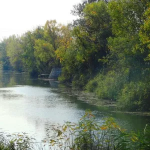 Участок 77 соток на берегу р.Орель (свой берег).