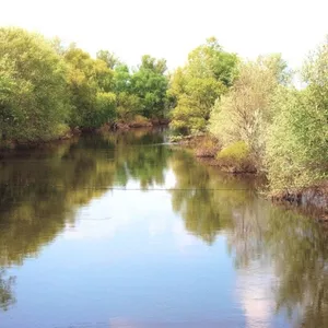 Участок 2ГА(200 соток) на берегу р.Орель (свой берег).
