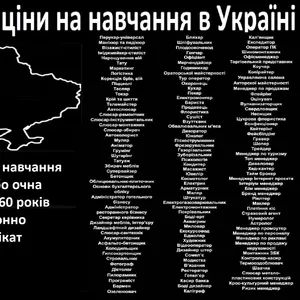 Курси основи бухгалтерського обліку диплом і сертифікат 