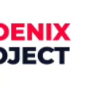 Професійне SEO просування спеціалістами з компанії Phoenix Project