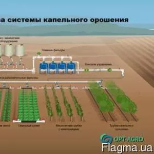 Менеджер з продажу орієнтованого на результа