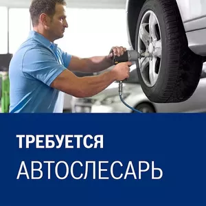 На постоянную работу требуется автослесарь.