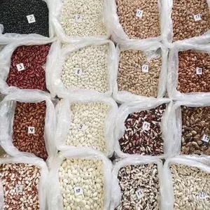 Квасоля на продаж. 20 сортів квасолі в асортименті