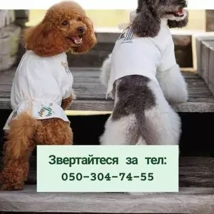 Технолог на швацьке виробництво(сумки, лежаки)