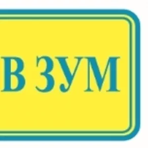 Сіточка предпускового підігрівача 14ТС-10 Теплостар сб. 49.