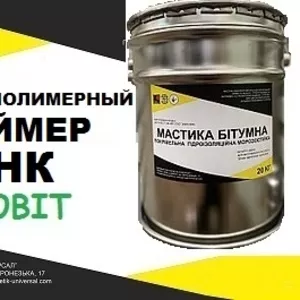 Праймер БНК Ecobit ДСТУ Б В.2.7-108-2001 ( ГОСТ 30693-2000)