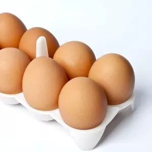 Продам свіже куряче яйце,  замовлення від короба Дніпро.