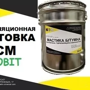 Грунтовка БСМ Ecobit Холодная битумно-силиконовая изоляционная ГОСТ 30
