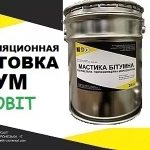 Грунтовка битумная универсальная БУМ Ecobit ГОСТ 30693-2000 ( ДСТУ Б В