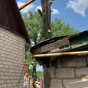 Спил и обрезка деревьев ЛНР 2025