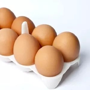 Продам столові курячі яйця недорого Дніпро.