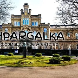 Литературный обзор для магистерской работы на заказ в Украине