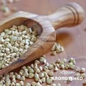 Гречка. Гуртова реалізація зерна від виробника