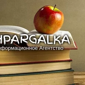 Разработка стартапа для ВКР на заказ в Украине