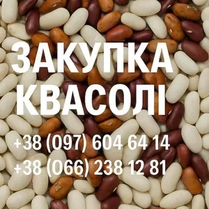 Купуємо квасолю. Заберемо своїм транспортом