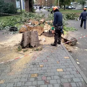  Спил дерева,  покос травы ,  расчистка участков вывоз мусора