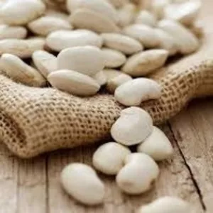 Переробне підприємство закуповує квасолю