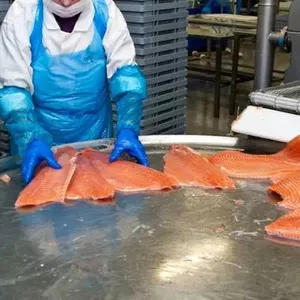 Шоковая заморозка,  камери низькотемпературні для переробки риби