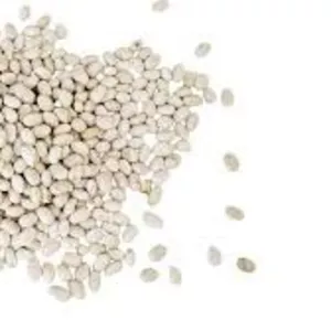 Закуповуємо квасолю різних сортів (від 10 тонн)