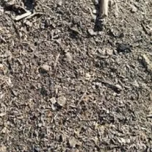 Закупаем деловой сор и отходы зерновых.